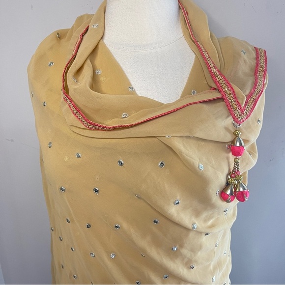 TRADITIONAL SARI DUPATTA Chiffon with Sequin and Bead Embellishments - Picture 2 of 7